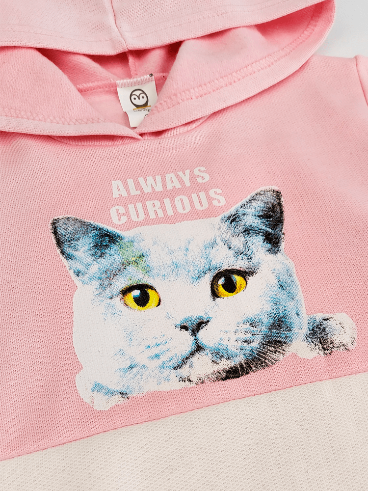 kitten in moletom com capuz